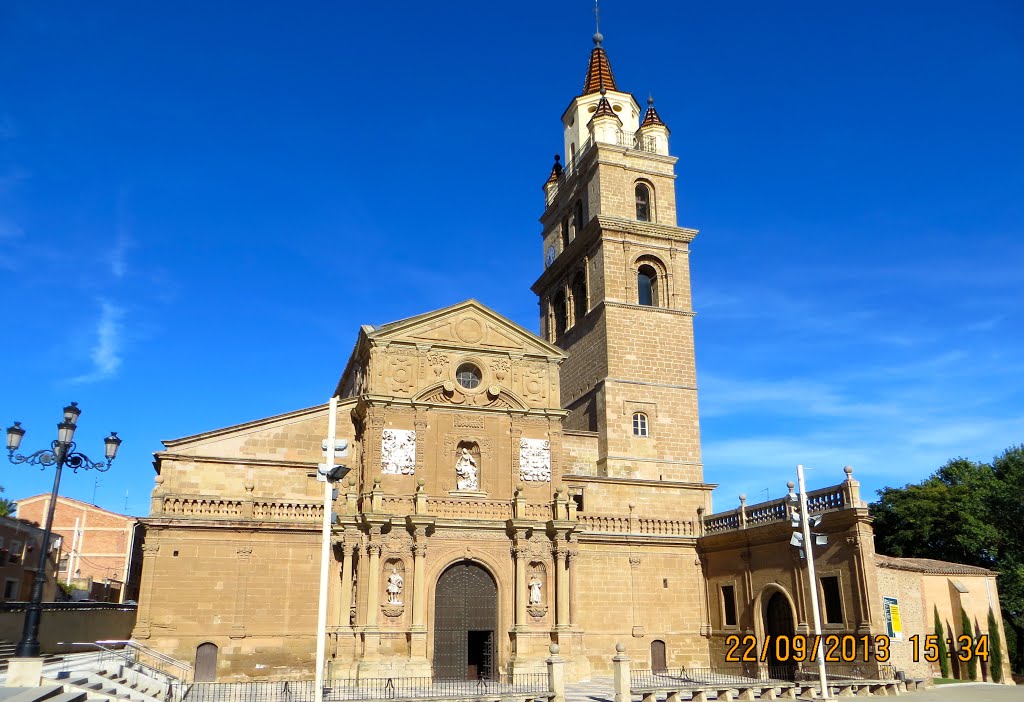 Iglesia y Catedral de Santa María. (Gótico tardío). Calahorra. La Rioja. España. by María Fernando