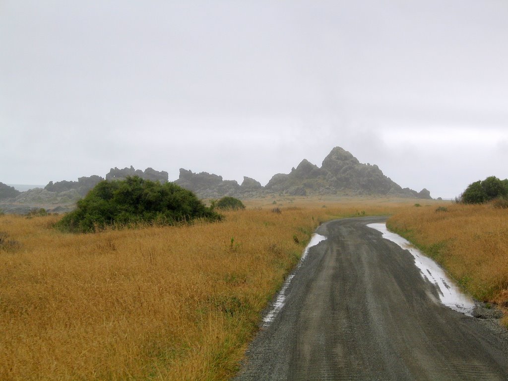 Cape palliser road by a_schneider