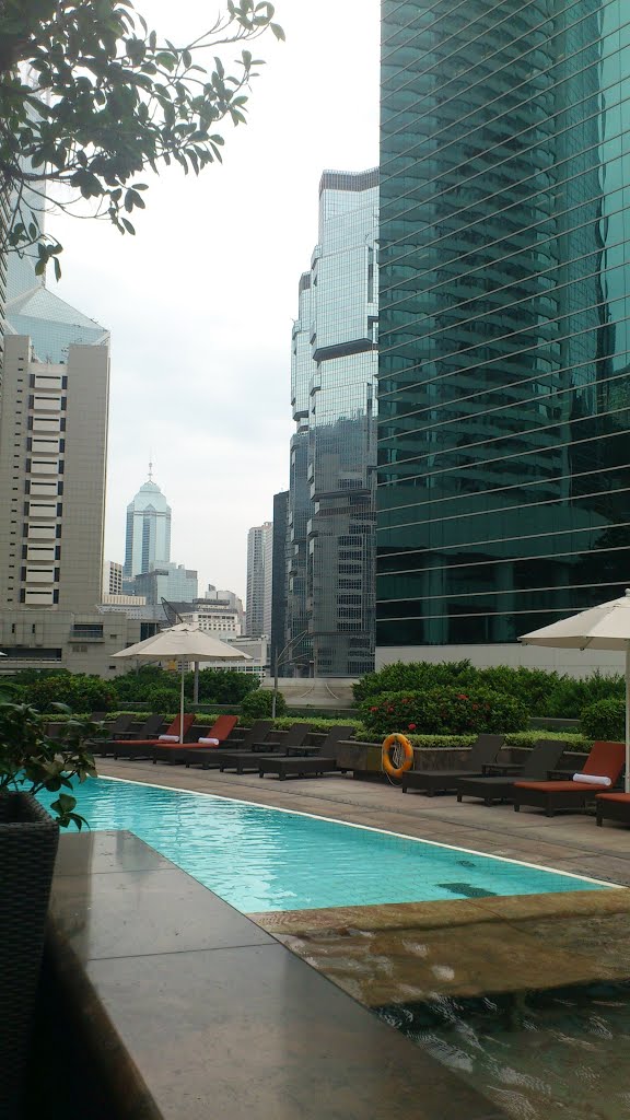 Swimming Pool at Conrad Hotel, Oct 2013 by nethost1