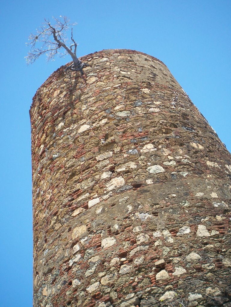 OLD MILL TOWER with a tree by louanson