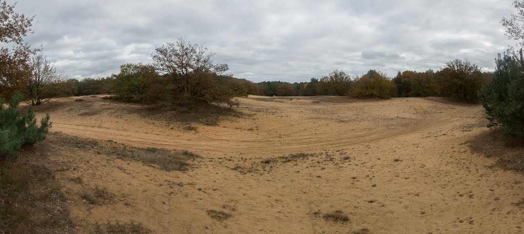 Duinenlandschap in de Kempen,Hechtel-Eksel,België by Henri Van Ham