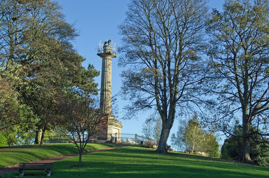 The Lion Column , Alnwick, Northumberland by guide paul