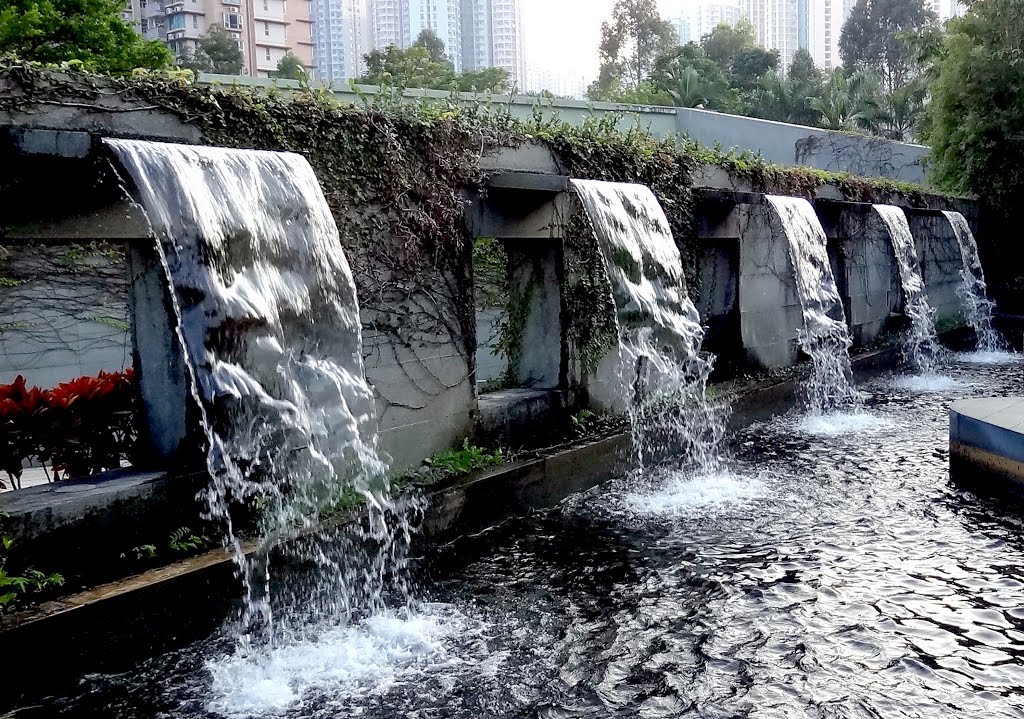 香港 元朗 天水圍 香港濕地公園 Hong Kong Wetland Park,Tin Shui Wai,Yuen Long,Hong Kong by Percy Tai  漆園童