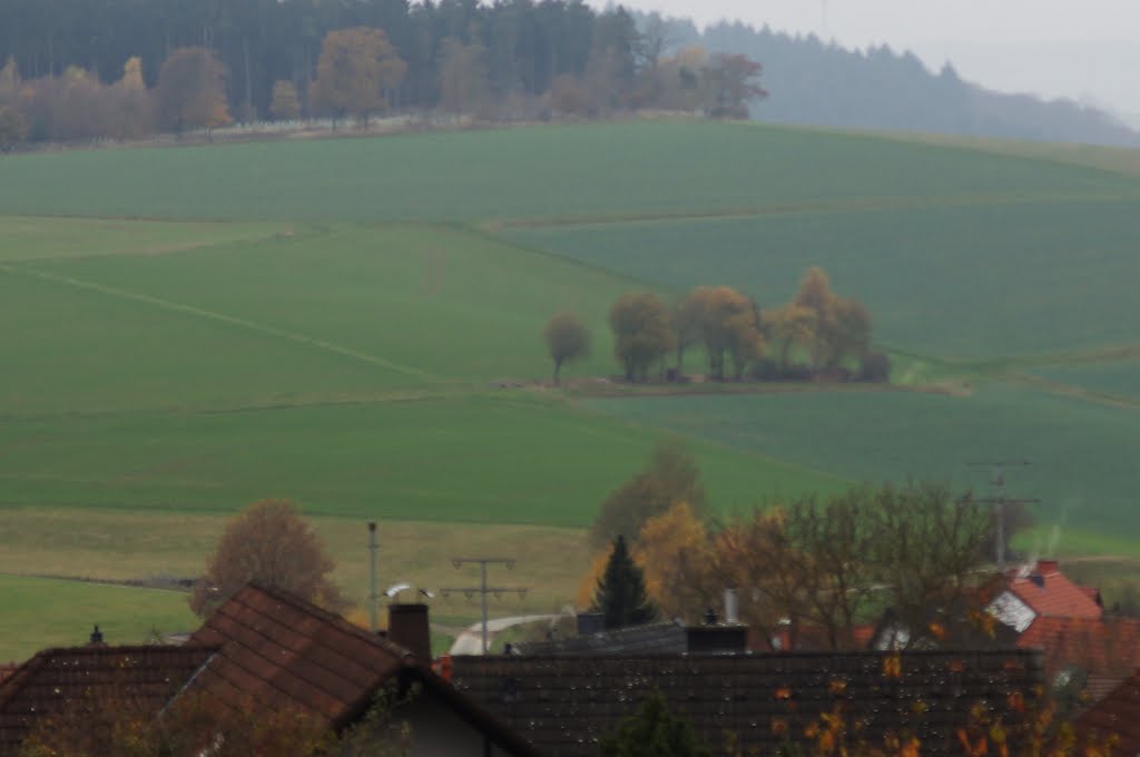 Einsame Baumgruppe by Jürgen Düring