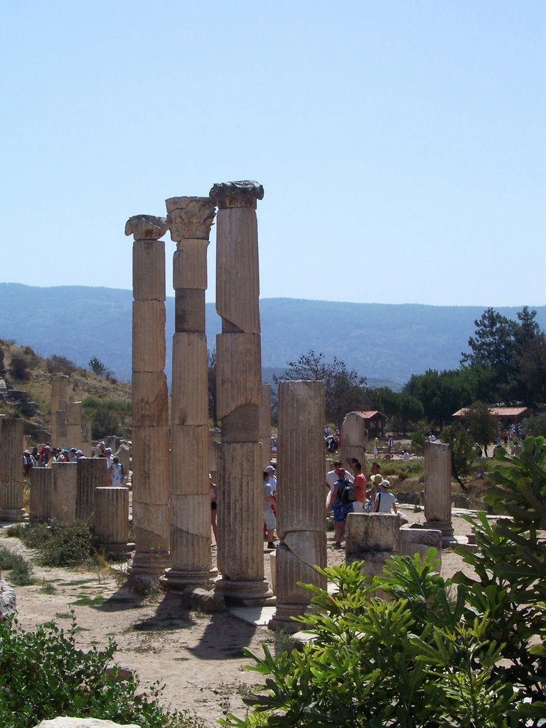 Ephesus - the pritaneion by domenico260