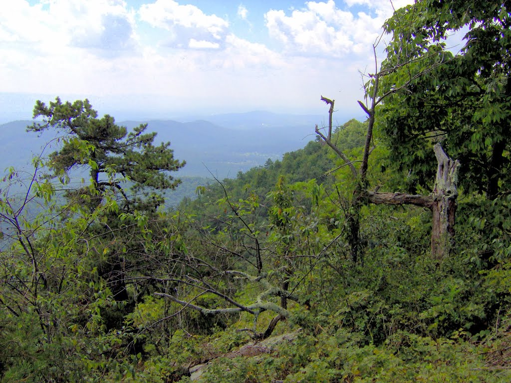 Mill Mountain Trail, Wolf Gap Recreation Area, George Washington National Forest, WV by Midnight Rider