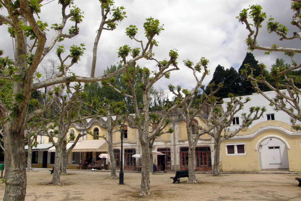 Termas, Curia by manuel carnota