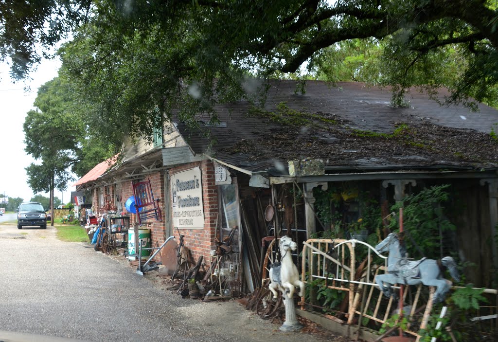 Collector's Mall Antiques by Buddy Rogers