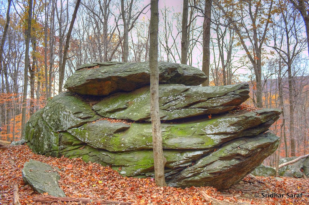 Cunningham Falls State Park, Thurmont, Maryland (USA) - Nov 2013 by Sridhar Saraf