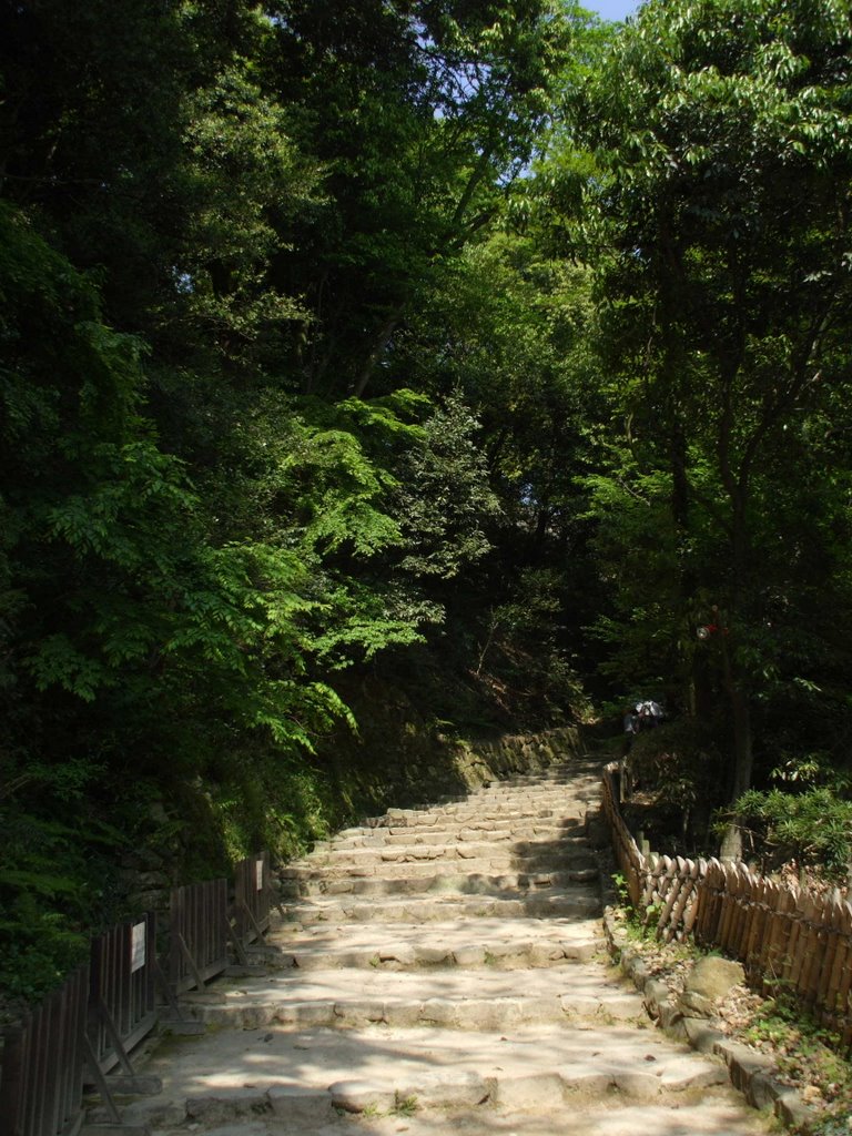 Stairs to the Castle 2008/5/4 by pumpkinbox