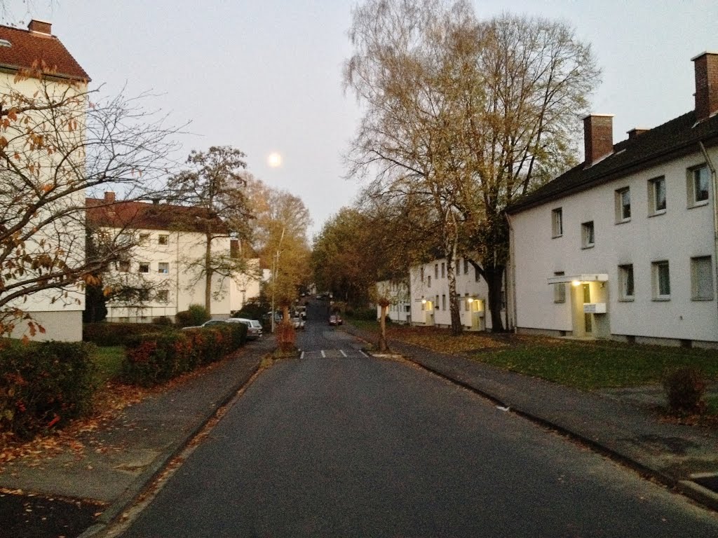 Moon over Lendersbergstraße, Kaldauen by Einherier