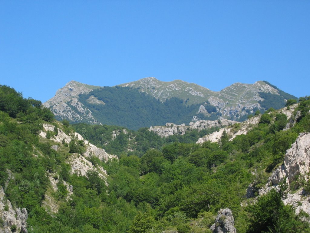 Monte Tarino da Colle Arena Bianca by marco_kmk