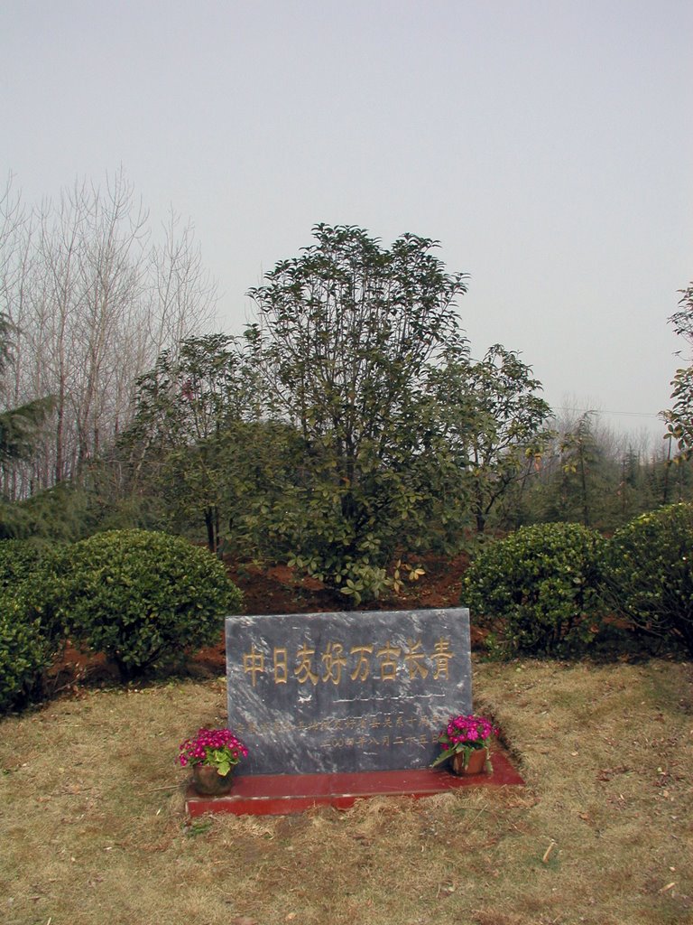 Hefei Botanical Garden　合肥植物園 by higefujimoto