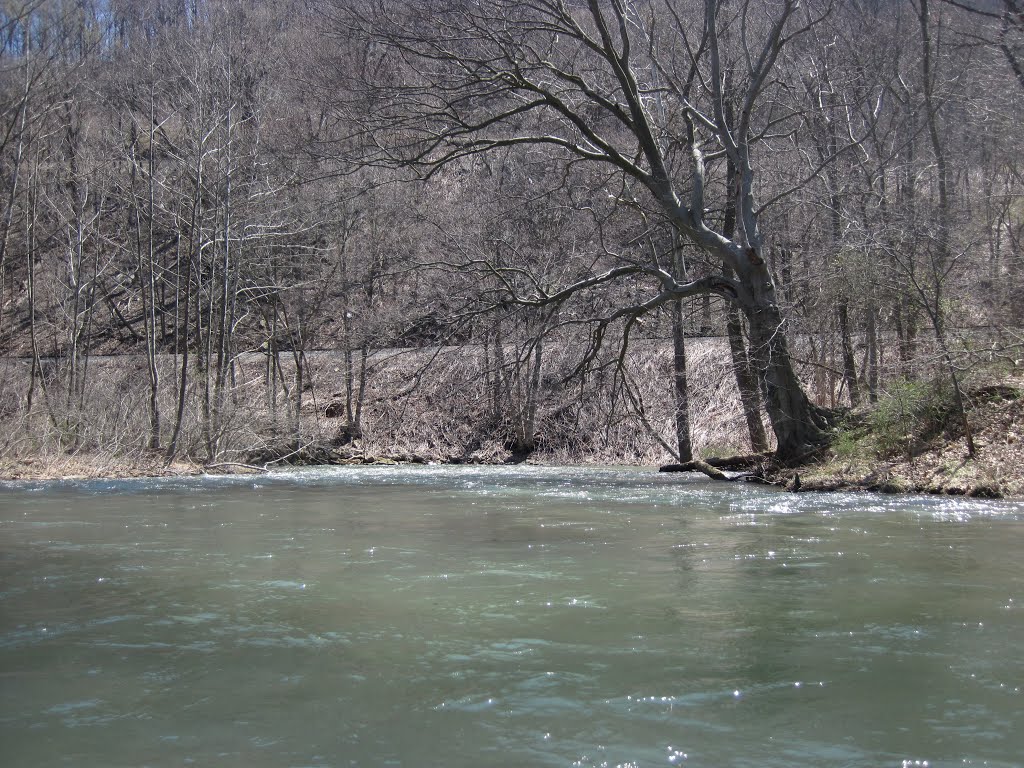 A kink in the north branch of the potomac by midatlanticriverrat