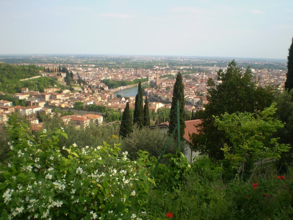 Verona-Italia by Maria Salette Jacque…