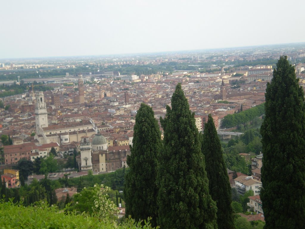 Verona-Italia by Maria Salette Jacque…