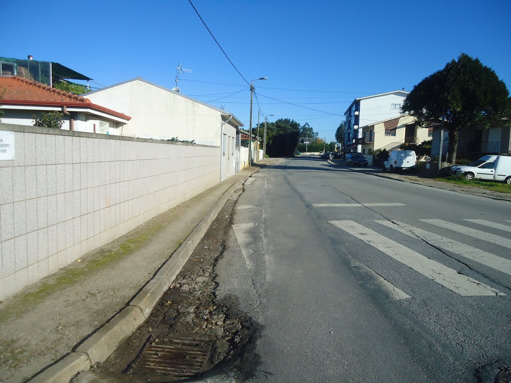 Rua Padre Augusto Lagoa - S.Romão by Belmiro Teixeira