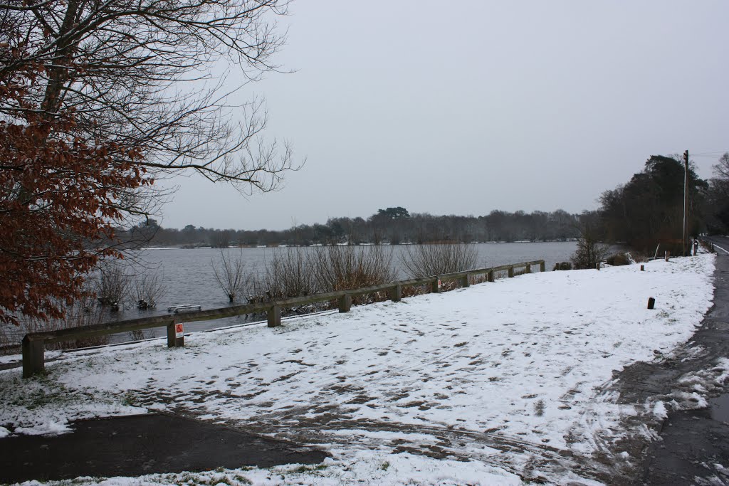 Petersfield Lake in snow by sarahfisher