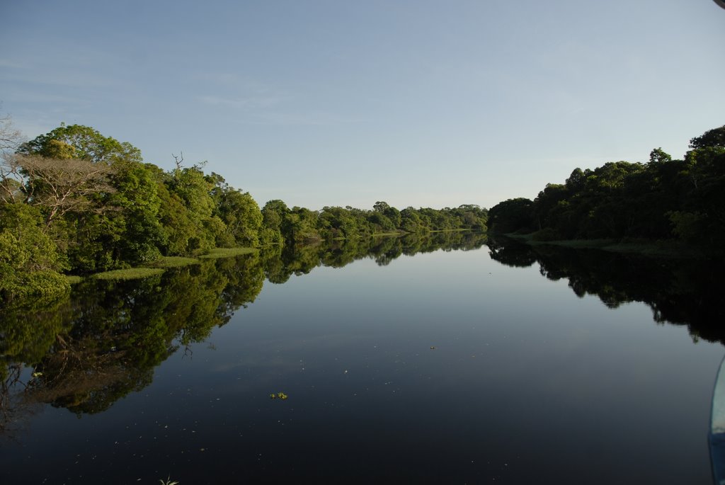 Parana Araça close to "Tres Bocas" before entering Mamori Lake by Angelo Pescetto