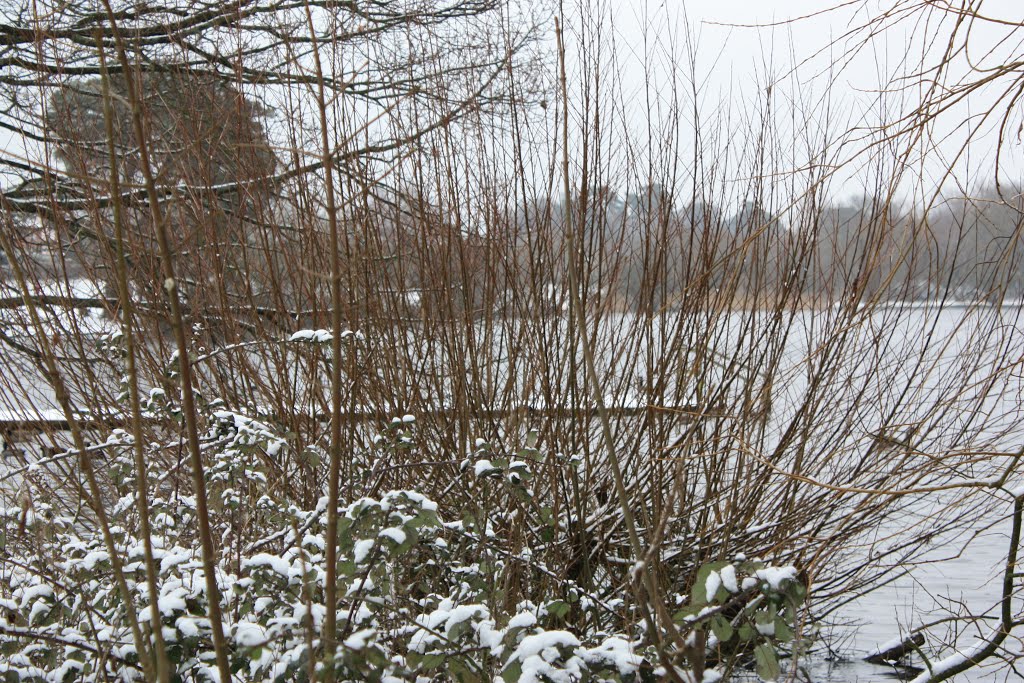 Petersfield Lake in snow by sarahfisher