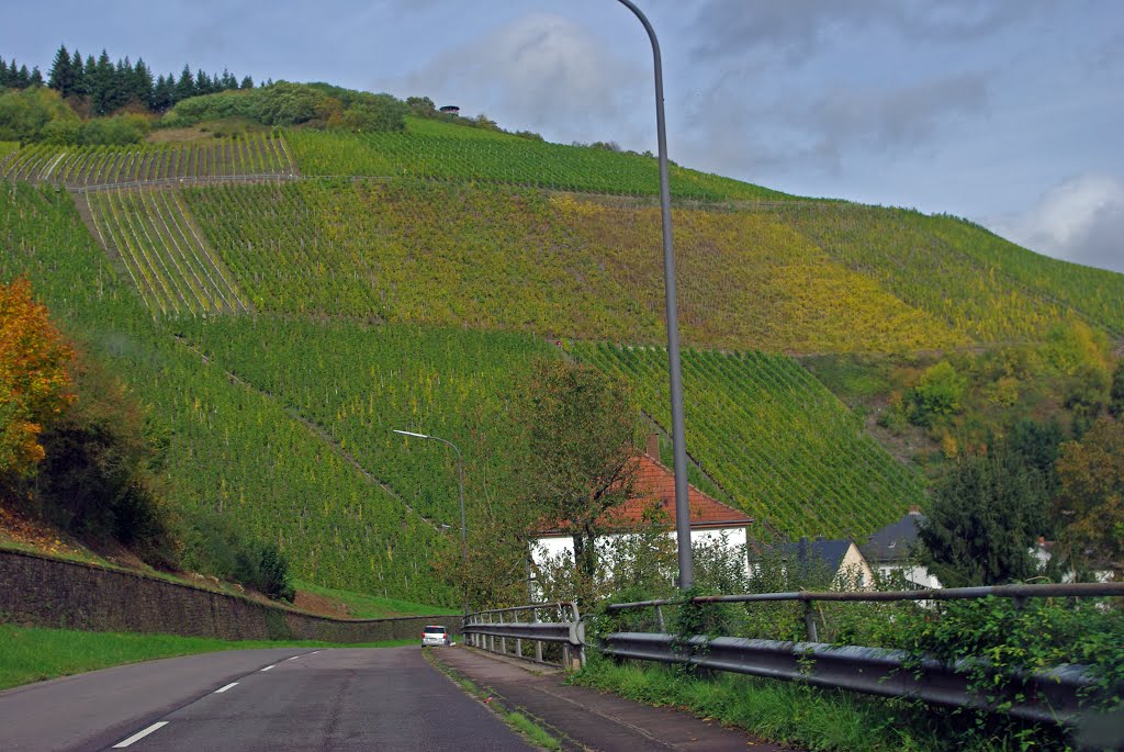 Saarburg - Trierer Straße by raginhardy