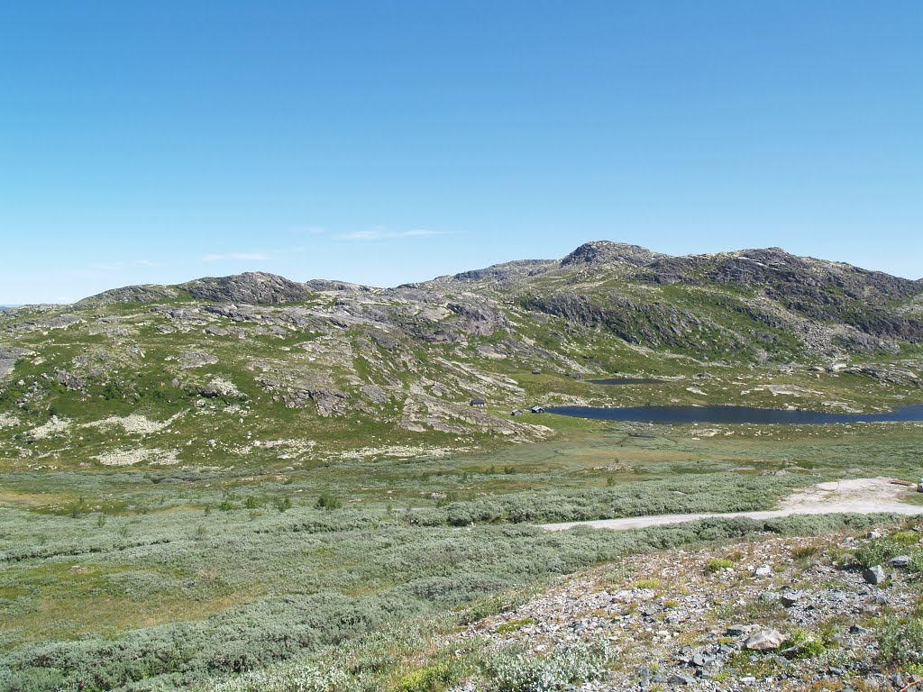 Landschaft unterhalb des Gaustatoppen (Hjartdal/Telemark) by © by Heinz von Felde