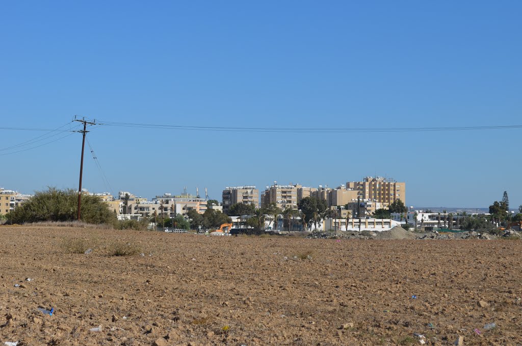 Cyprus. Larnaca (99462820) by Viktor Bakhmutov