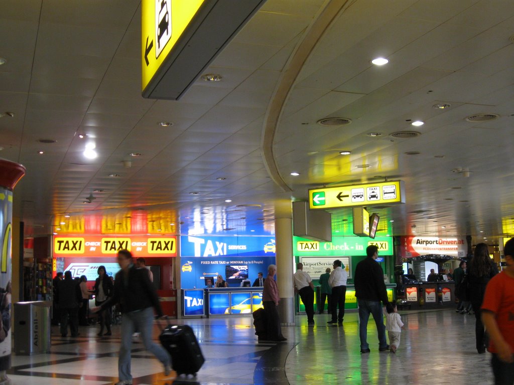 Vienna airport by Paul Nechkova-Raven