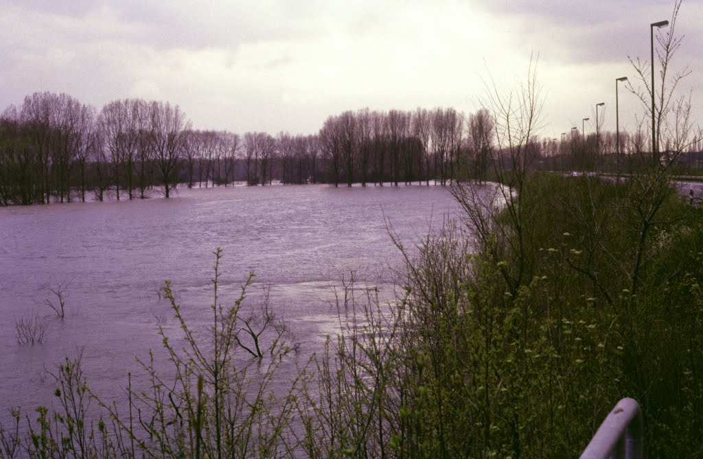 Bergheim, Richtung Bonn-Beuel, Hochwasser April 1983 by Maxwell_Smart