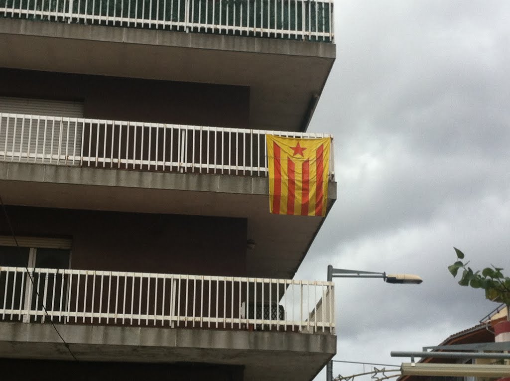 Street. Vic. Osona. Catalonian Flags. by catalonianflags