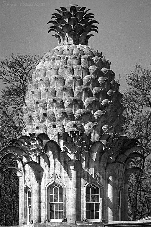 Pineapple near Airth by Dave Henniker