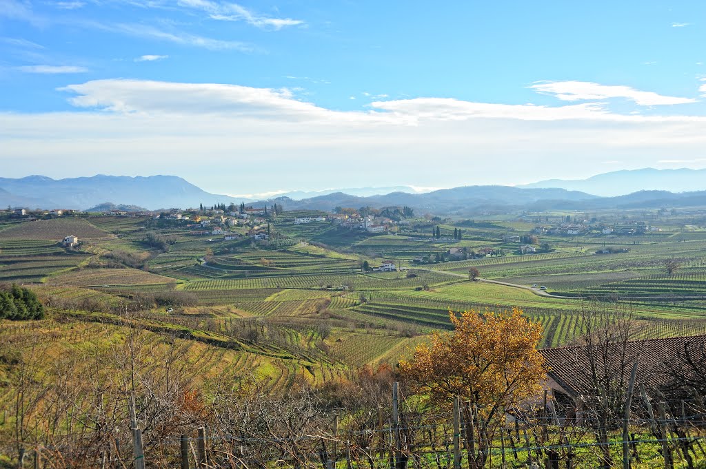 Goriška brda, Vipolže by Valter Erzetič