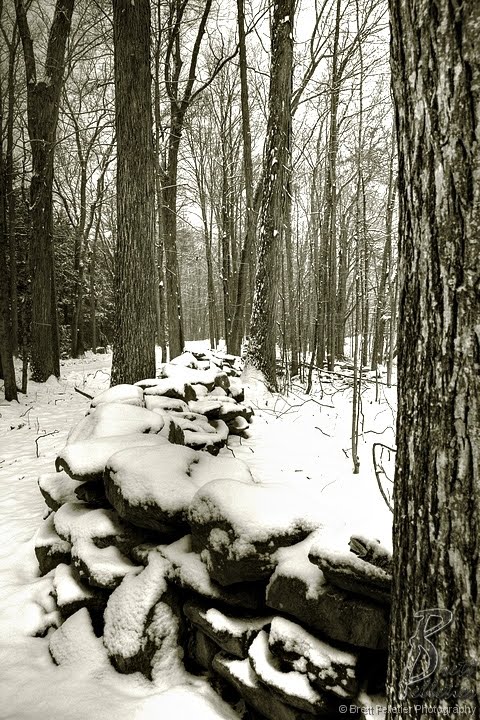 Rock Wall in Winter by deepfrogphoto.com