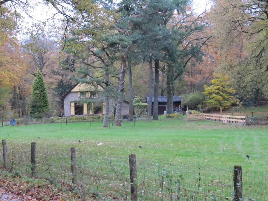 Roekelse bos - Plankenwambuisweg by Wim Schut