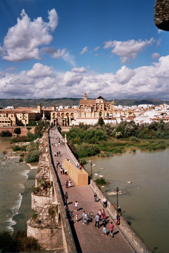 Puente romano by Selekem