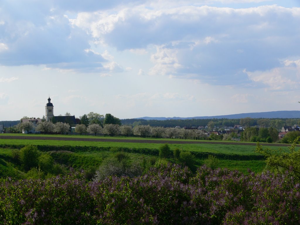 Widok na Kościół Parafialny pw NMP Wspomożenia Wiernych by szwajkowski.info