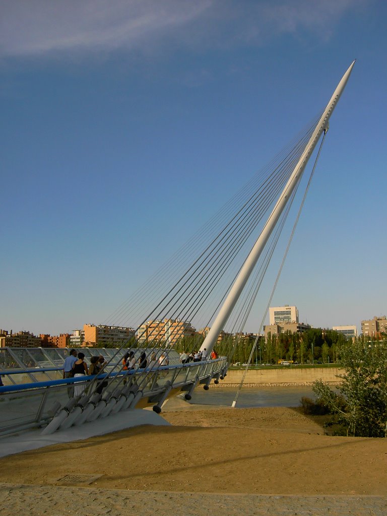 Zaragoza: Pasarela del Voluntariado by Rosaflor