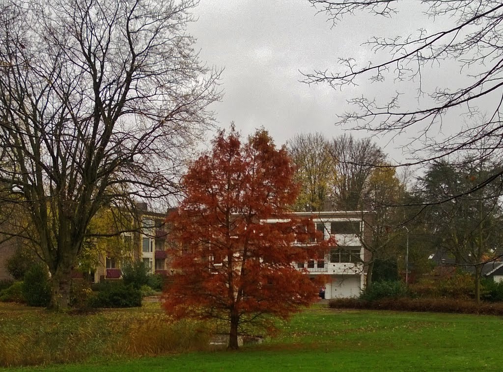 Bijzondere architectuur in de Lindenlaan 18-20 (1956). Deze architectuur loopt door in de Berkenstraat/ 43-55 en 30-48, de Dennenweg 1-3 en 5-7, tot in de Pelikaanstraat 197-211 in Assen. De architect is Piet Götzen (1914-1977) uit Vlissingen/Middelburg. by Hans R van der Woude