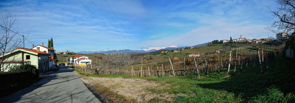 Plešivo, desno Medana by Valter Erzetič