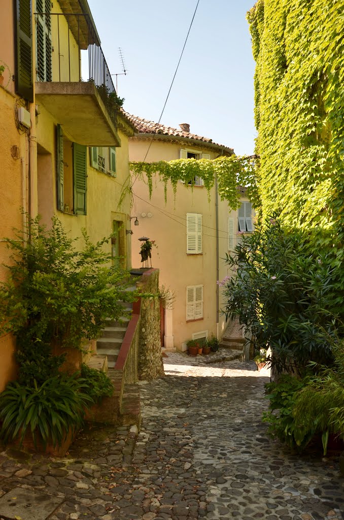 Biot (Alpes-Maritimes) by Naru Kenji