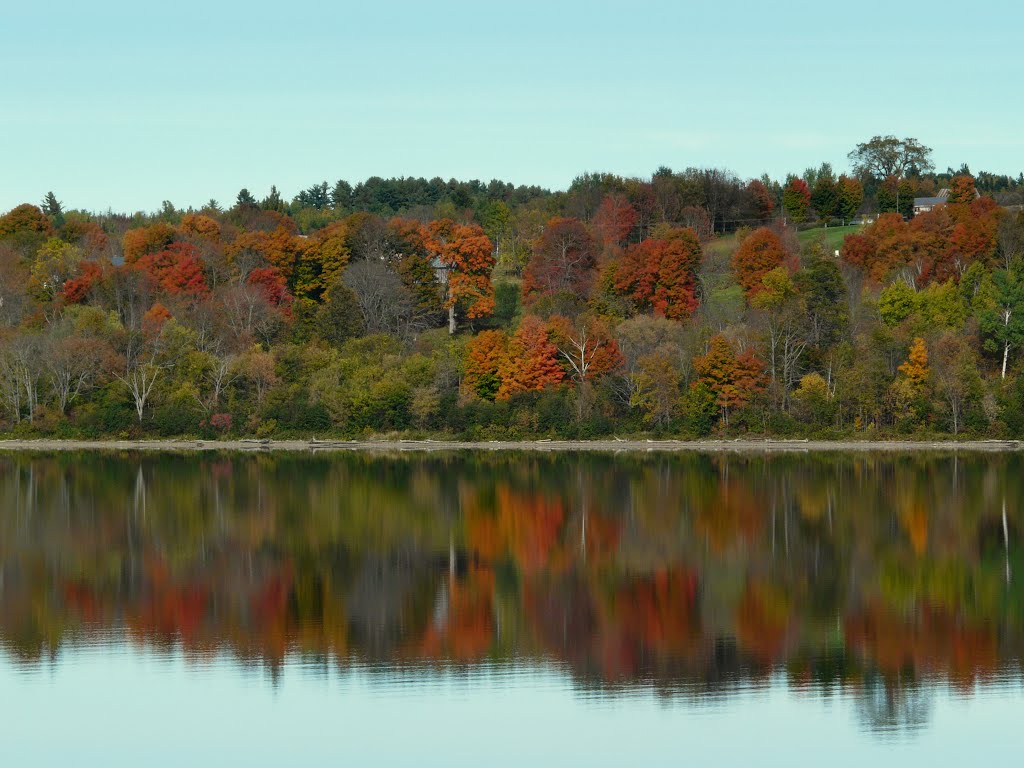 autumn colors by Anne W.