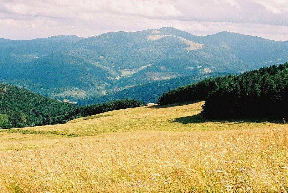 Vue du Grand Ballond depuis le Petit Ballon by grubmarc