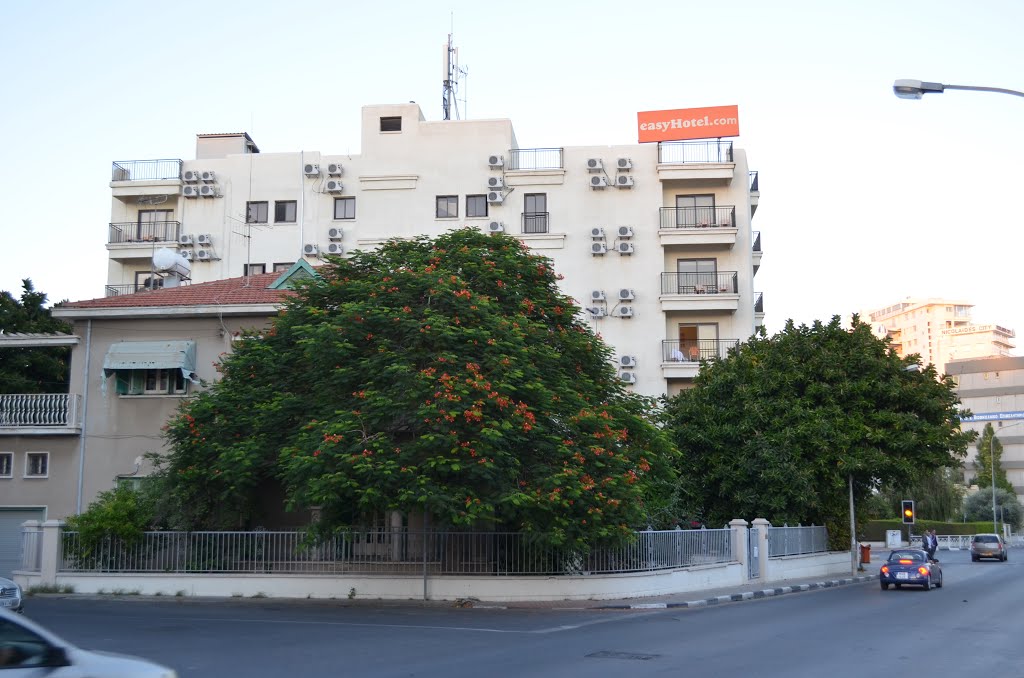 Cyprus. Larnaca (99550492) by Viktor Bakhmutov