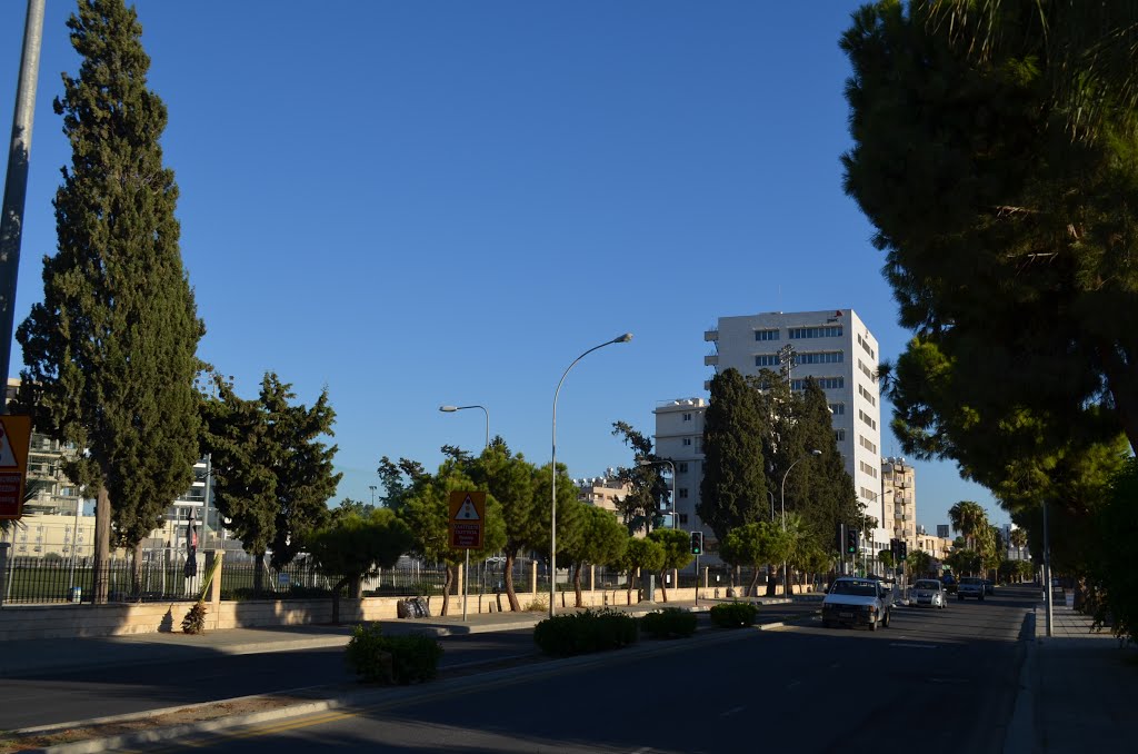 Cyprus. Larnaca (99557415) by Viktor Bakhmutov