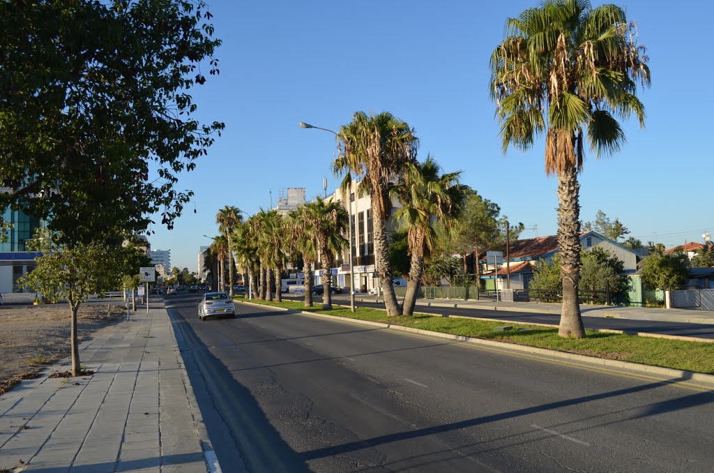 Cyprus. Larnaca (99558150) by Viktor Bakhmutov