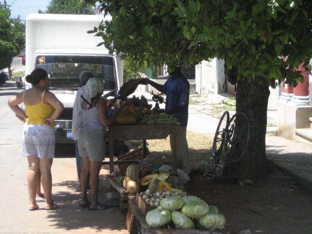 Venta de frutas en 54 y 31 by Abilio Estévez