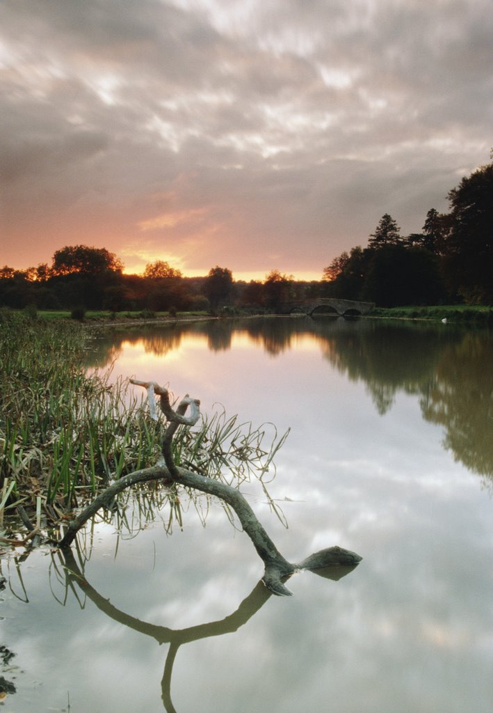 Farnham, UK by scramble