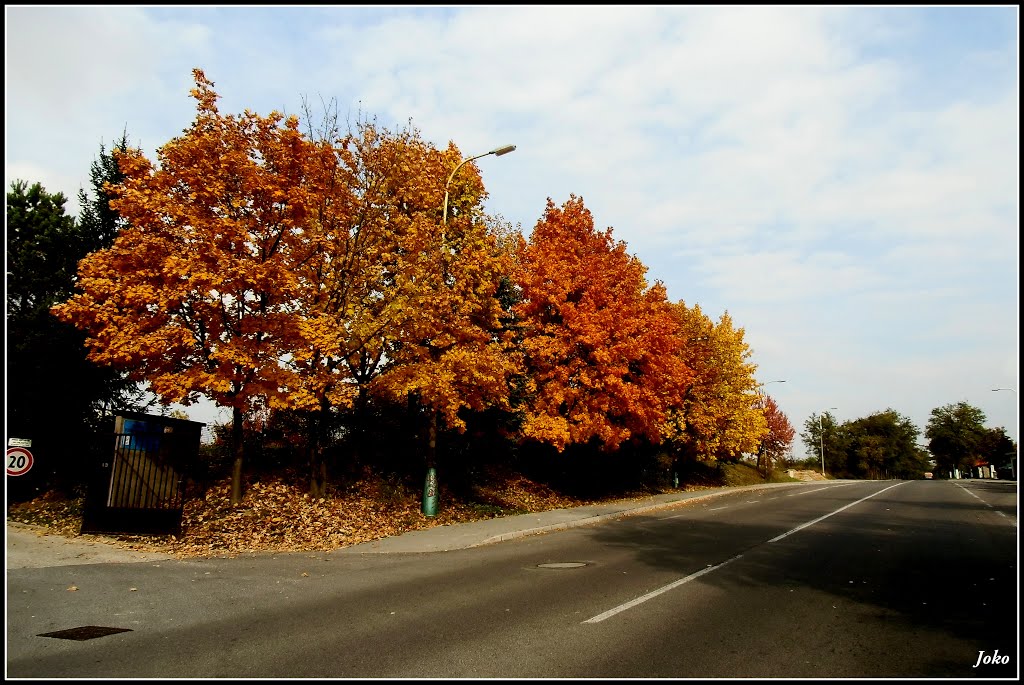 Farby jesene / Colours of autumn/ by < JOKO >