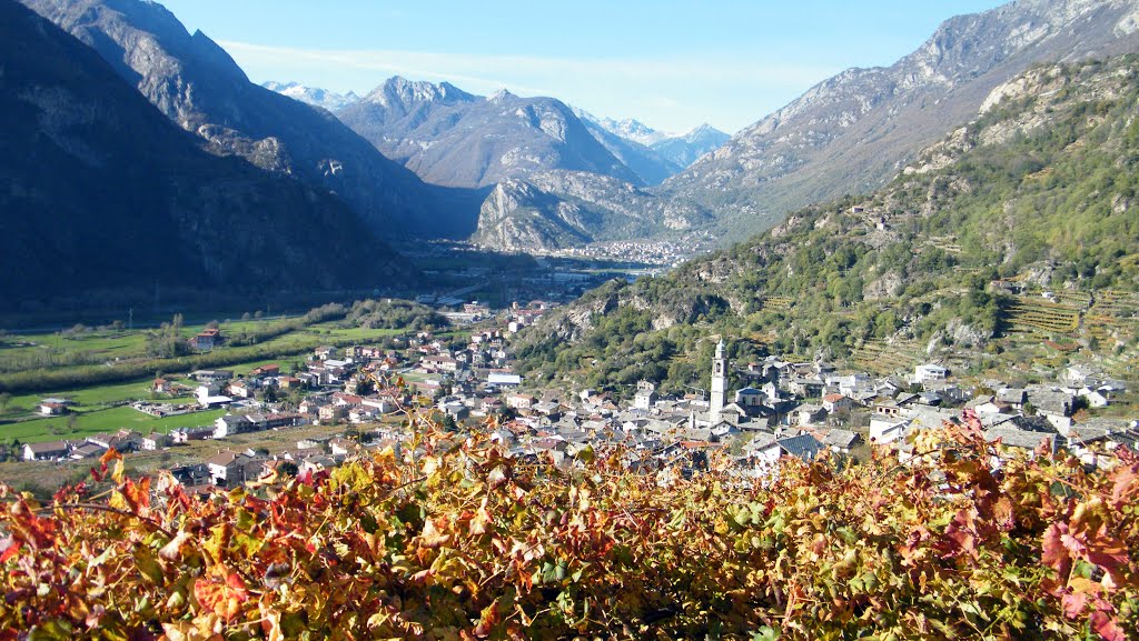 Panorama di Carema(TO) ed entrata in Valle D'Aosta by maricler