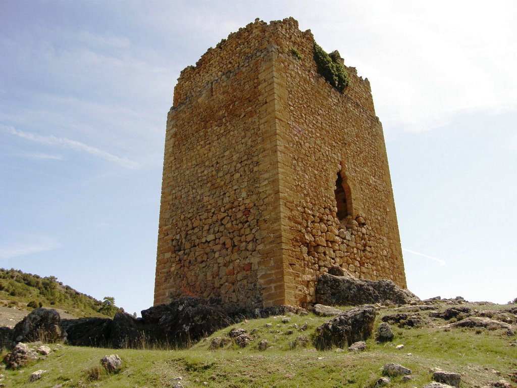 Torre Barrachina by Alberto Asensio